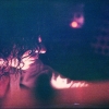1975. Ilitch Live.