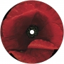 NLTM-IM-LP1804-a