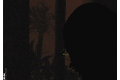 The-Silent-Storyteller