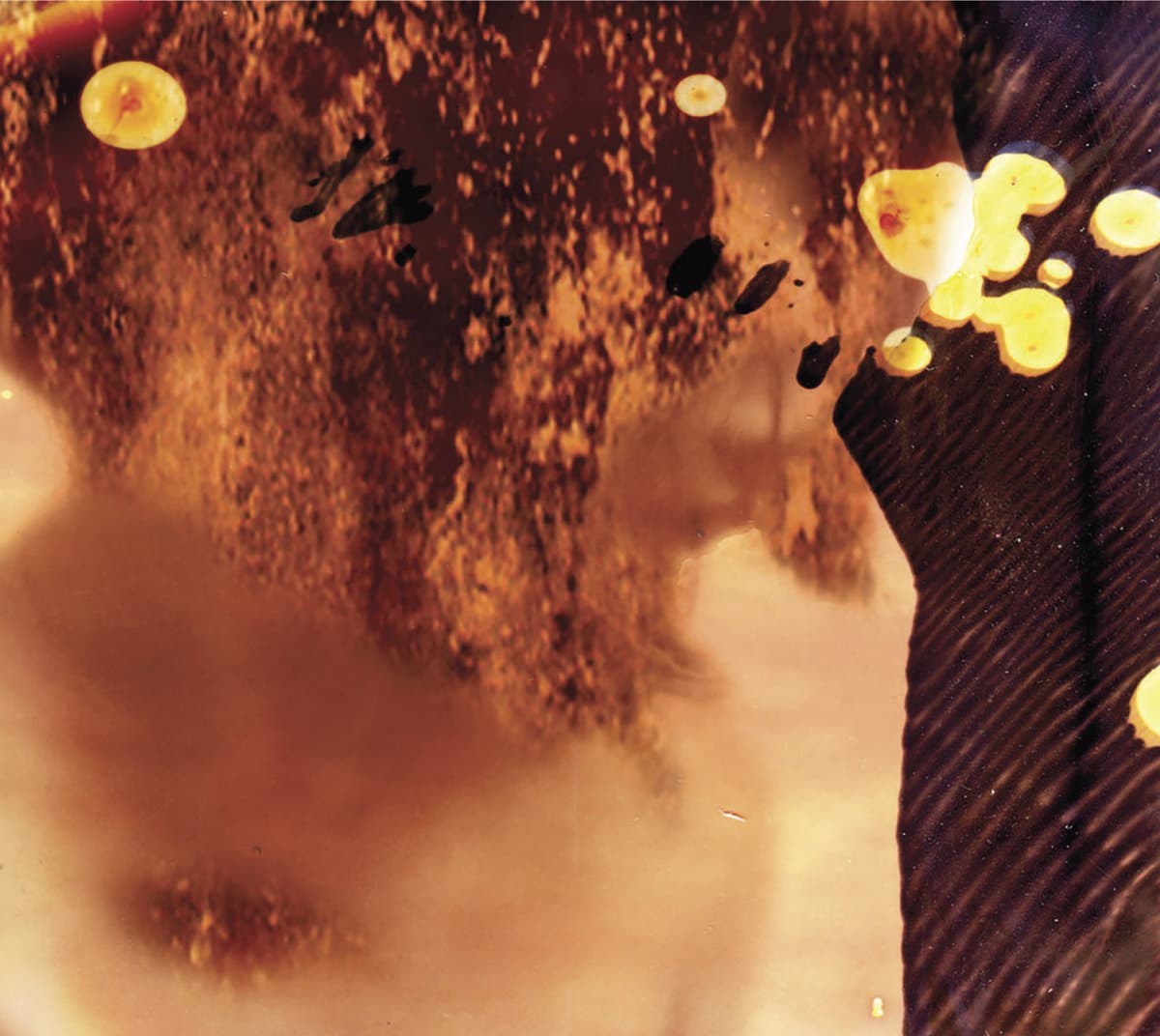 0039955234_10