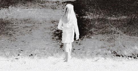 Pepe Wismeer / Thierry Müller — Curieuse Quiétude